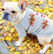 Christmas pet dog clothes