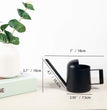 Mini Watering Can for Indoor Plants Stainless Steel Small Watering Can 11Oz/300Ml