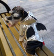 Halloween Funny Bat Silver Pet Cotton Coat