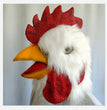 Funny Animal Dress Up COS Halloween Ball Mask