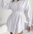 Lantern Sleeves Waist Asymmetric Dress