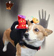 Halloween Dog Clothes Pet Costume Funny