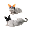 Pet Halloween Supplies Ghost Festival Ornaments Dog Personality Hat Cat Bat Wings